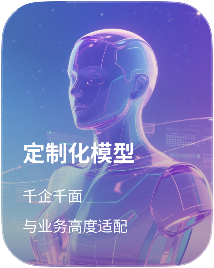 定制化模型